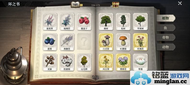 荒原曙光之美妙盆栽种植秘笈，萌动心灵之绿意