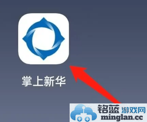 如何在新华保险APP中便捷查询保单，智享掌上新生活