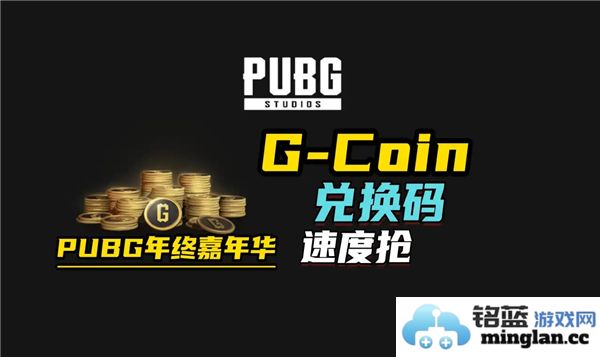 探秘PUBG年终嘉年华兑换码_100G_Coin的魅力与价值