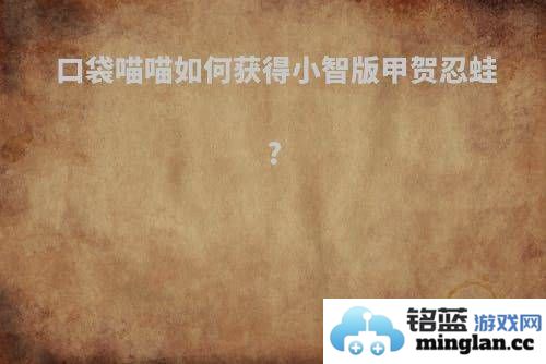 如何在口袋喵喵中获得小智版甲贺忍蛙的全方位攻略