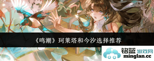 如何在鸣潮游戏中选择珂莱塔与今汐的最佳搭配方案