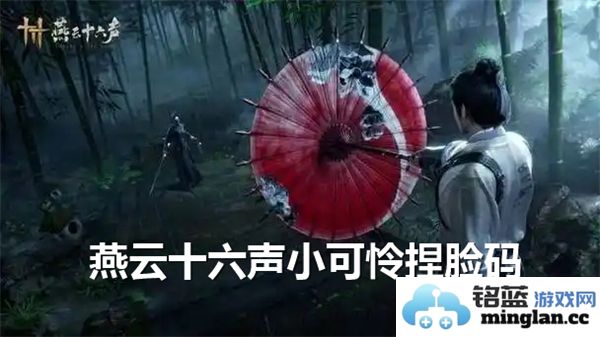 纵观燕云十六声之小可怜捏脸码，独特魅力与个性彰显之旅