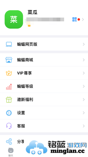 如何在蝙蝠聊天中巧妙设置在线状态与隐身，彰显个人魅力与神秘感