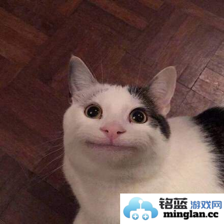 即便女友远走天涯，卧龙吟依旧令我心驰神往的三国策略游戏