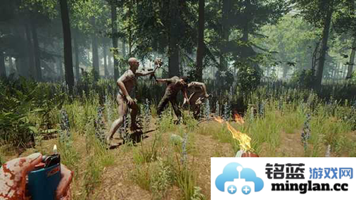 森林生存最新版官方直版_森林生存最新版免费下载1.4