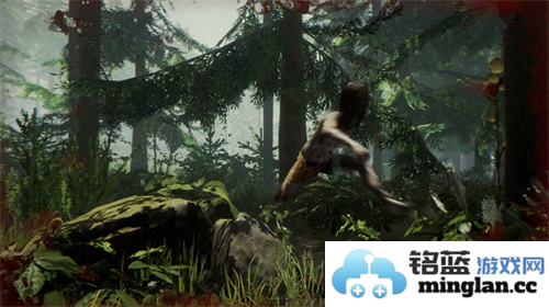 森林生存最新版官方直版_森林生存最新版免费下载1.4