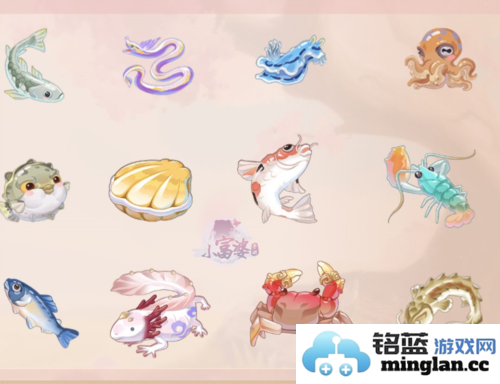 小富婆官方直版_小富婆免费下载1.0.2.6