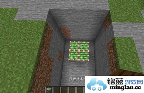 我的世界1.12基岩版正式版官方直版_我的世界1.12基岩版正式版免费下载