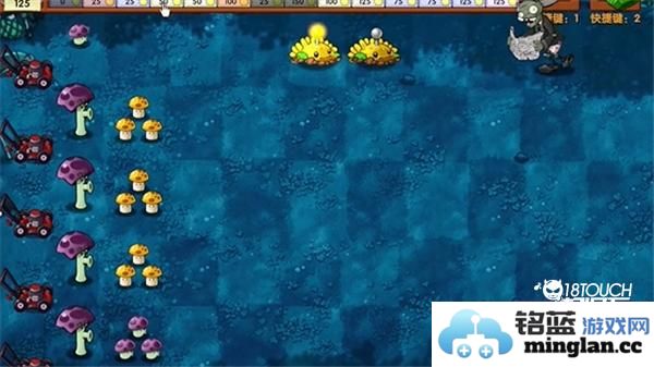 植物大战僵尸融合版第18关通关技巧分享与攻略解析
