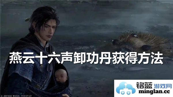 探秘燕云十六声卸功丹的获得途径：巅峰武学的必备珍品