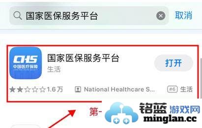 如何在国家医疗保障局服务平台上便捷且准确地办理停保手续的详细指南