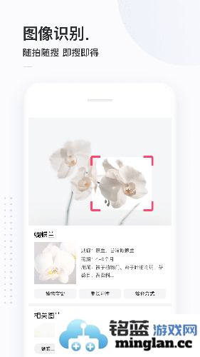 简单搜索app截图4