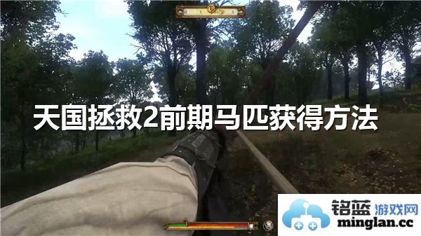 在《天国拯救2》中获取前期马匹的绝妙技巧，助你轻松驰骋于广袤大地