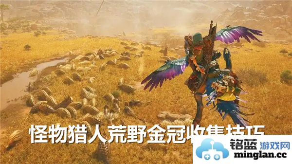 如何在怪物猎人荒野中获得金冠：提升收集技巧的全面指南