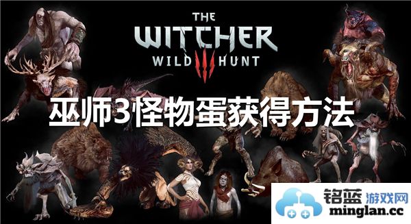探寻巫师3中神秘而稀有的怪物蛋获得之道