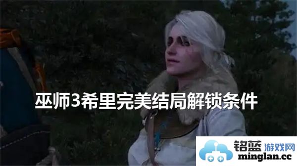 巫师3游戏中如何完美达成希里结局的具体选项解析与建议