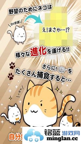 这是猫咪吗截图2