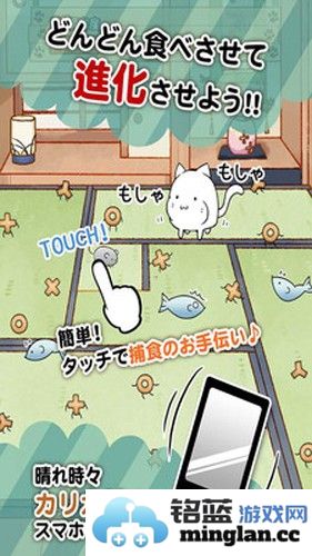 这是猫咪吗截图3