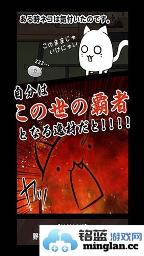 这是猫咪吗截图4