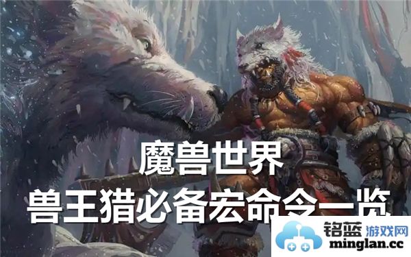 魔兽世界：兽王猎最强宏命令一览，助你成就猎手之巅峰!