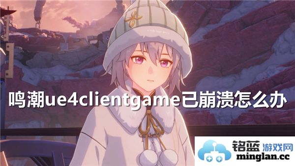 《鸣潮UE4客户端游戏崩溃之应对之道，急需解决方案以重启游戏体验》