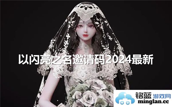 2024年度以闪亮之名邀请码详解，揭秘如何获取与使用