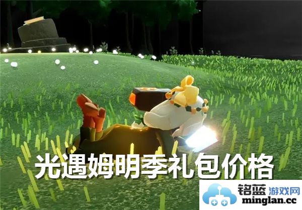 在光遇姆明季中，礼包的价格揭示了情感与回馈的真谛