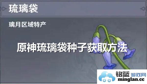 在《原神》中如何获取琉璃袋的种子，助你轻松提升冒险体验