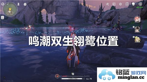 探索鸣潮双生翎鹭之神秘栖息地与其独特生态环境