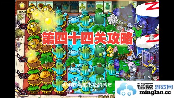 植物大战僵尸杂交版冒险模式第44关详细攻略与实用技巧大揭秘