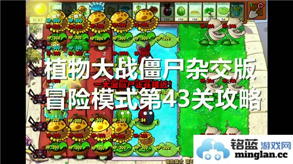 如何轻松应对植物大战僵尸杂交版冒险模式第43关的挑战与技巧