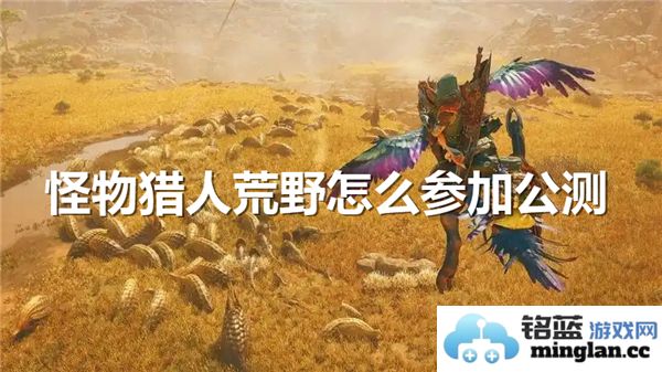 如何参与《怪物猎人：荒野》公测——全攻略与建议，让你轻松入狩