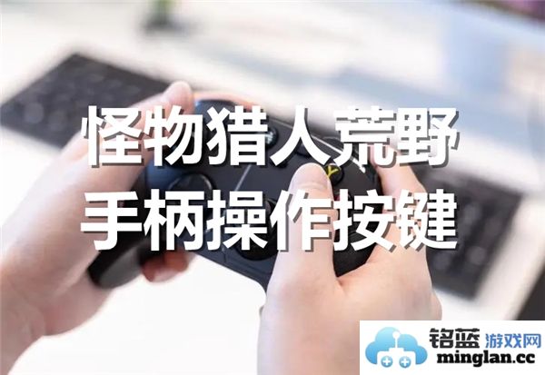 精通怪物猎人荒野手柄操作的独门秘笈，助你驰骋猎场