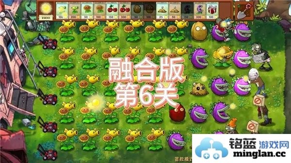 如何运用智慧与策略顺利通关植物大战僵尸融合版第六关，战胜敌人