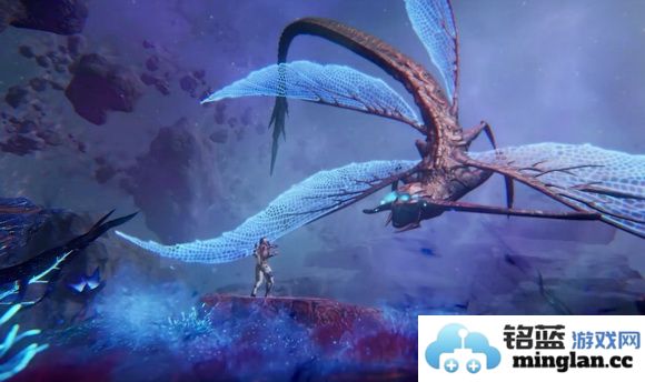 如何科学养护星球重启观赏鱼，打造美丽水族世界