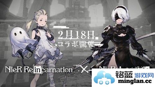 尼尔康乃馨汉化版截图1