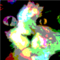 猫梦去广告版