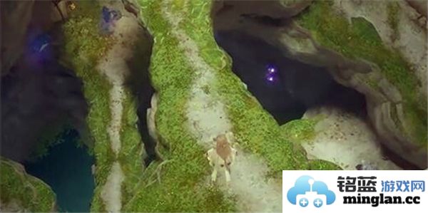 无限暖暖藤之沁的获取方法与途径解析