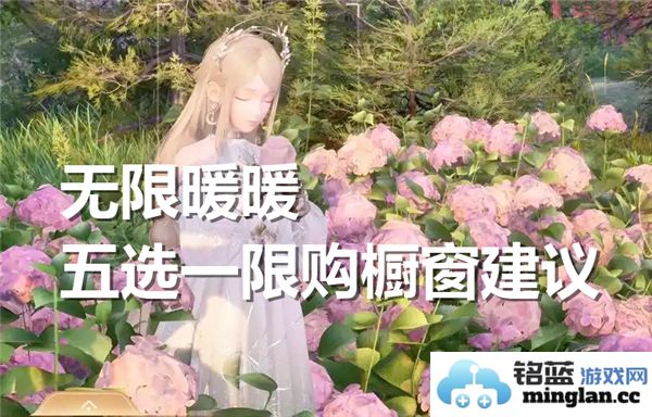 无限暖暖五种选择的限购橱窗推荐及建议