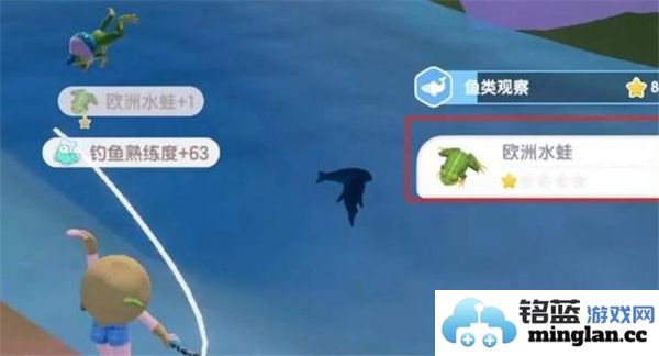 心动小镇的欧洲水蛙究竟在什么地方最容易钓到