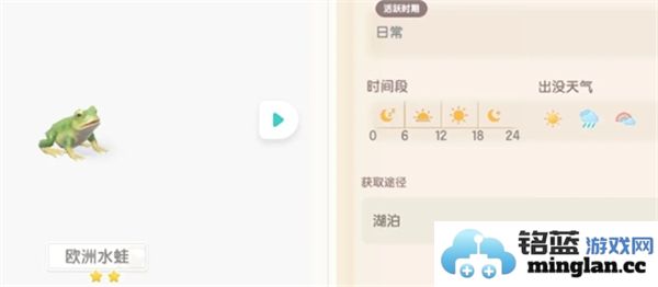 心动小镇的欧洲水蛙究竟在什么地方最容易钓到