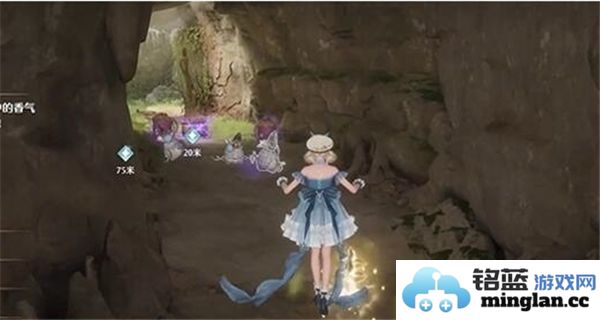 如何获得无限暖暖药的独特口味及其制作方法