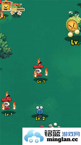 水果大乱斗手机版官方直版_水果大乱斗手机版免费下载1.0.0