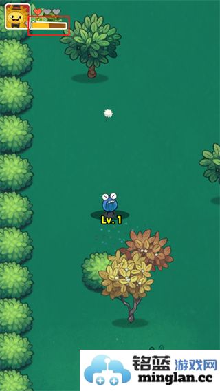 水果大乱斗手机版官方直版_水果大乱斗手机版免费下载1.0.0