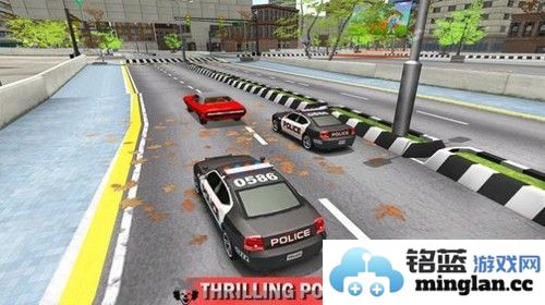 真正的黑帮枪击案截图3