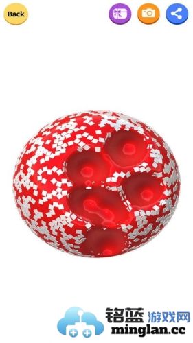 彩虹史莱姆模拟器中文版官方直版_彩虹史莱姆模拟器中文版免费下载2.5