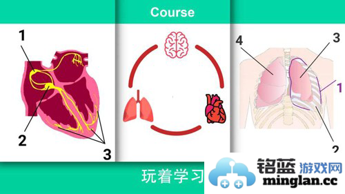 康复公司医疗模拟器中文破解版截图2