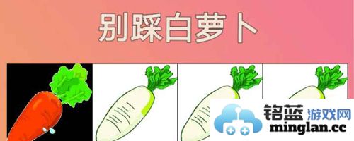 别踩白萝卜官方直版_别踩白萝卜免费下载1.0