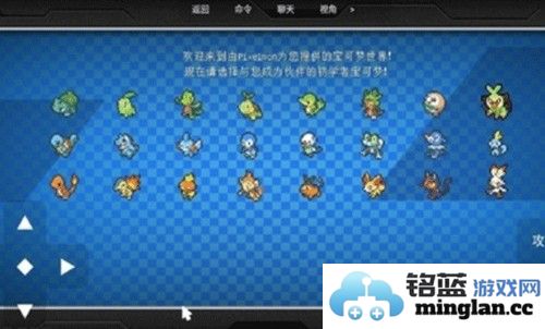 宝可梦世界无极限最新版截图2