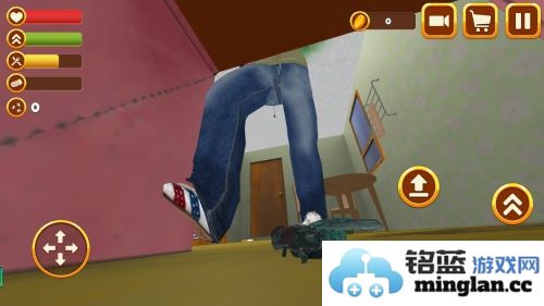 苍蝇模拟器官方直版_苍蝇模拟器免费下载1.2.6